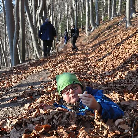 Διαμέρισμα Krolowo Krościenko