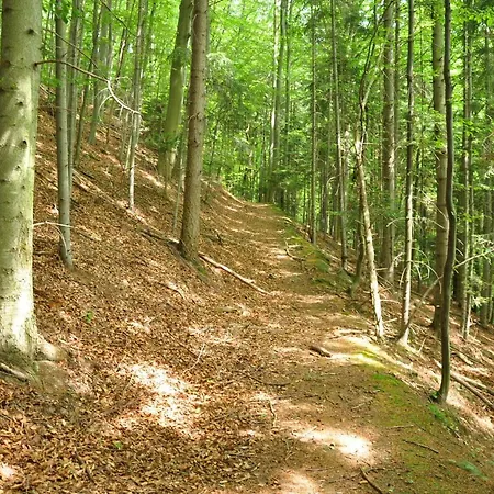 Apartamento Krolowo Krościenko