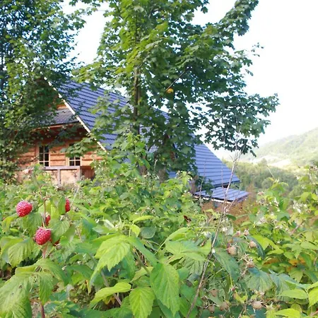 Krolowo Apartment