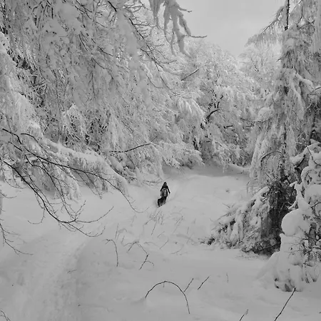 Krolowo Διαμέρισμα Krościenko