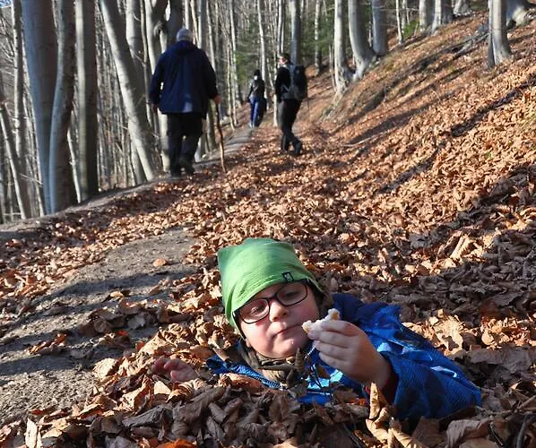 Appartement Krolowo Krościenko