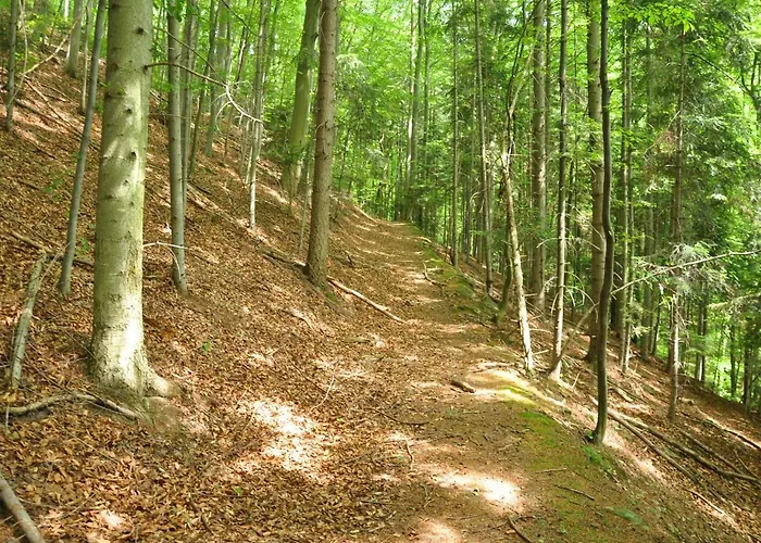 Lägenhet Krolowo Krościenko