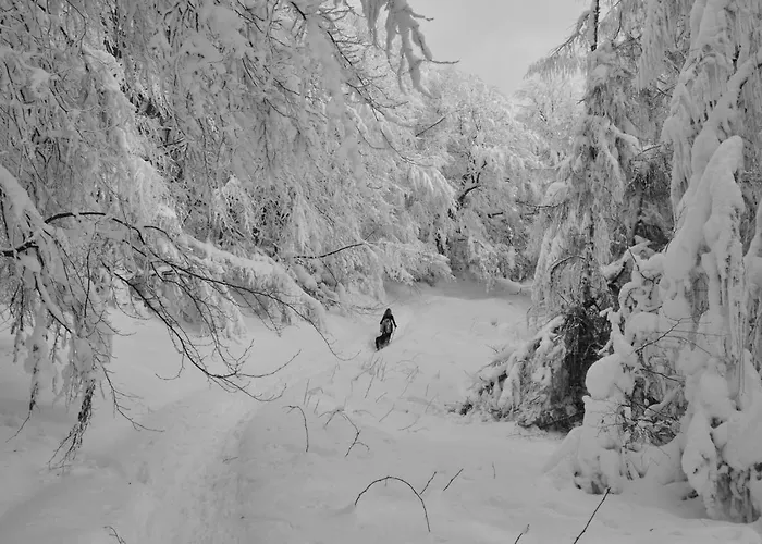 Krolowo Lägenhet Krościenko