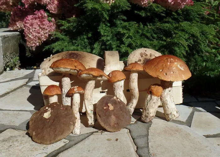 Appartamento Krolowo *